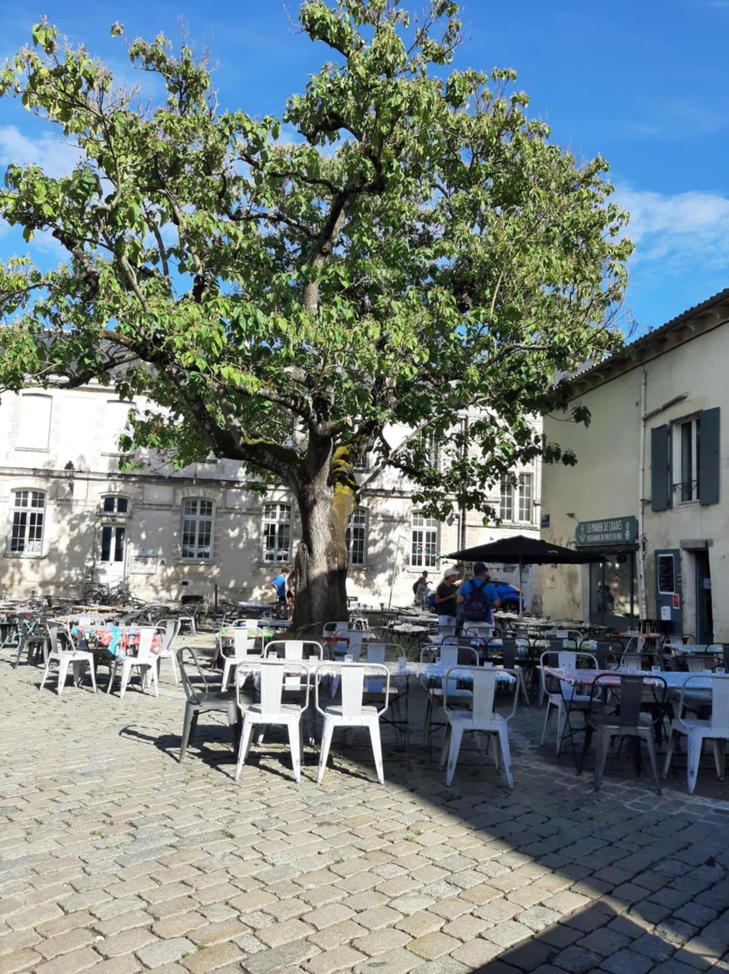 Comtesse Apartment La Rochelle  Ngoại thất bức ảnh